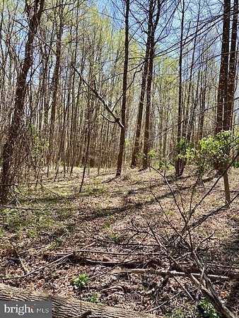 2 Acres of Residential Land for Sale in Sandy Spring, Maryland