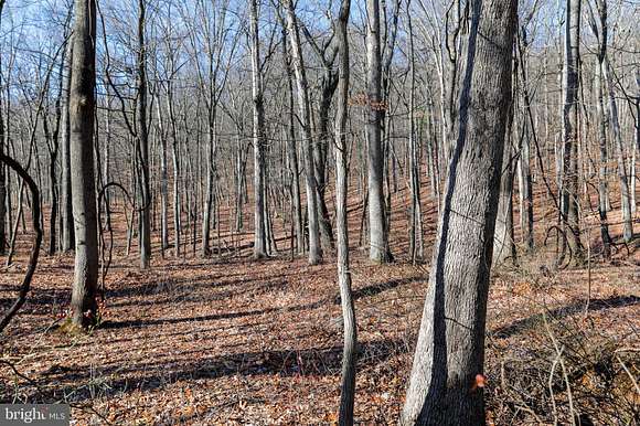 30 Acres of Recreational Land for Sale in Clear Spring, Maryland