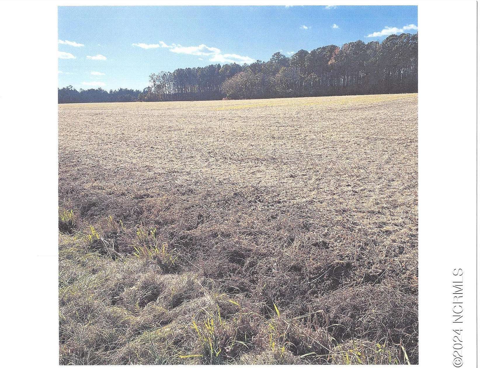 50 Acres of Recreational Land & Farm for Sale in Kenly, North Carolina