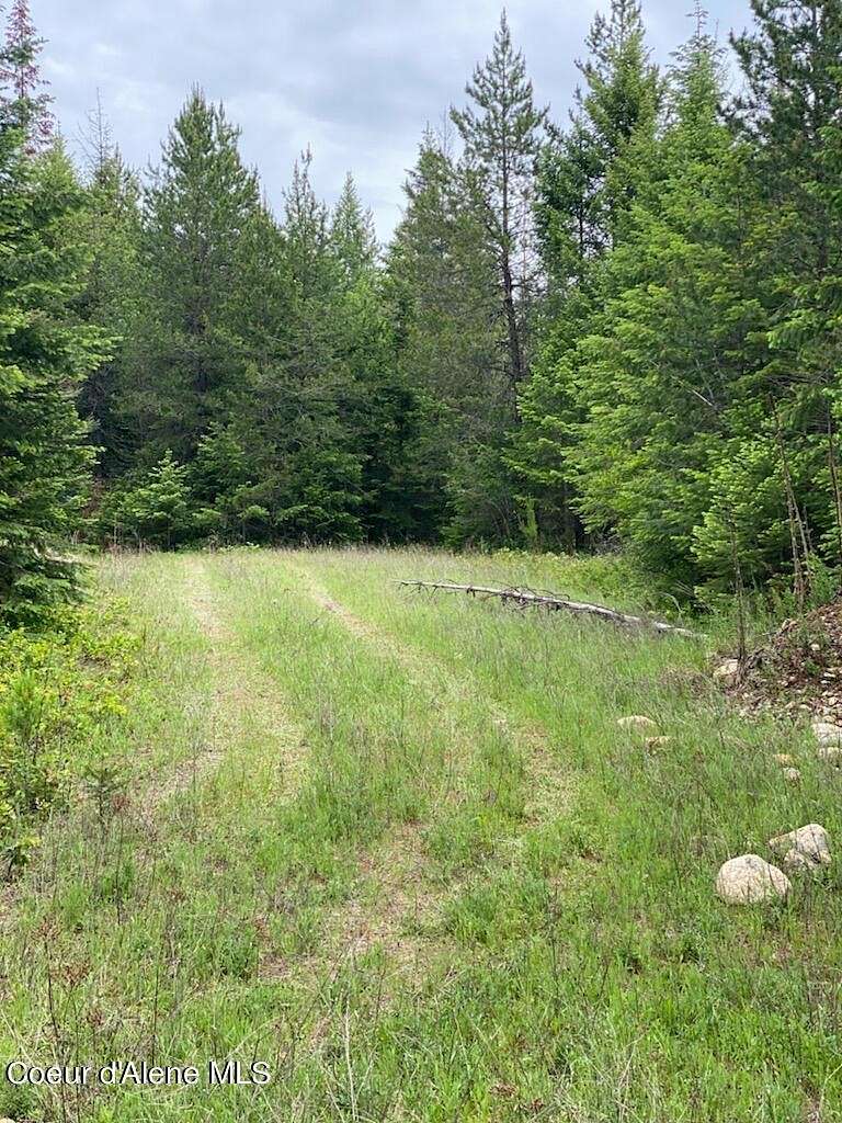 4.5 Acres of Land for Sale in Athol, Idaho