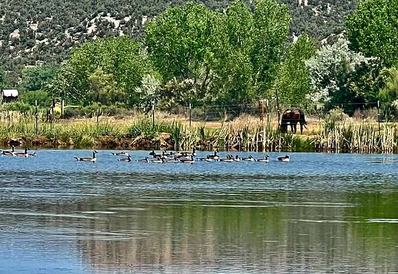 50 Acres of Land with Home for Sale in Cortez, Colorado