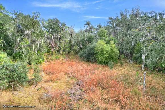 25.4 Acres of Recreational Land for Sale in Lithia, Florida