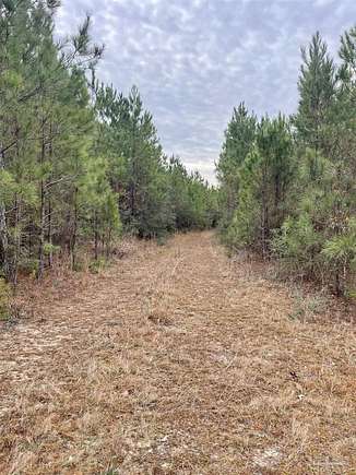 59.1 Acres of Land for Sale in Flomaton, Alabama