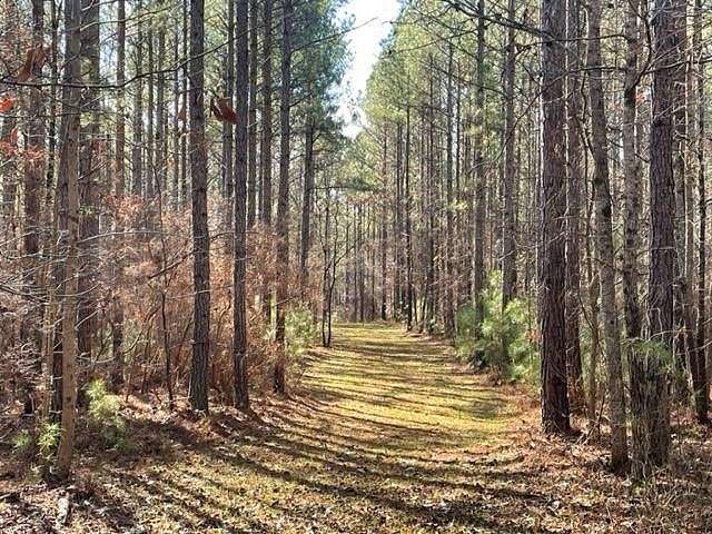 47.8 Acres of Land for Sale in Whitesburg, Georgia
