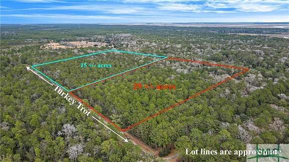 29.6 Acres of Agricultural Land for Sale in Richmond Hill, Georgia