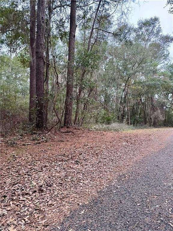 0.56 Acres of Residential Land for Sale in Shellman Bluff, Georgia