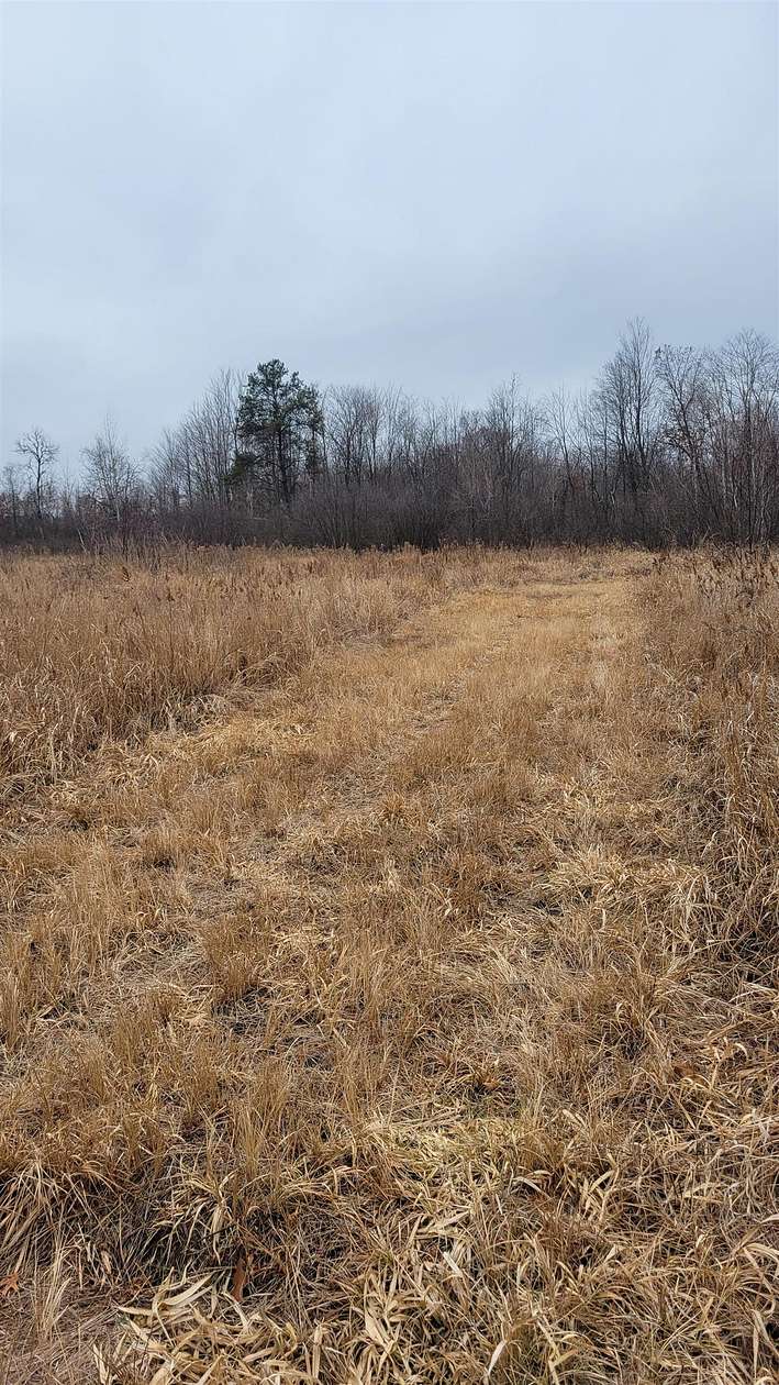200 Acres of Recreational Land for Sale in Nekoosa, Wisconsin