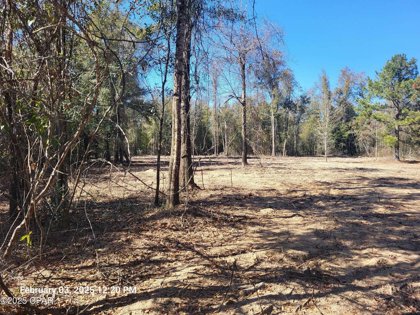3 Acres of Residential Land for Sale in Altha, Florida