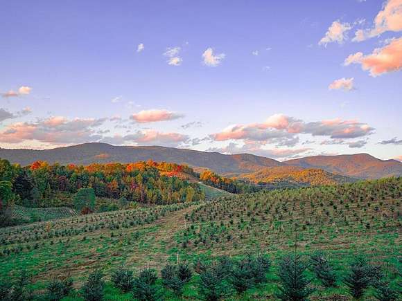 38 Acres of Agricultural Land for Sale in Tuckasegee, North Carolina