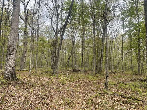 5 Acres of Residential Land for Sale in Sequatchie, Tennessee