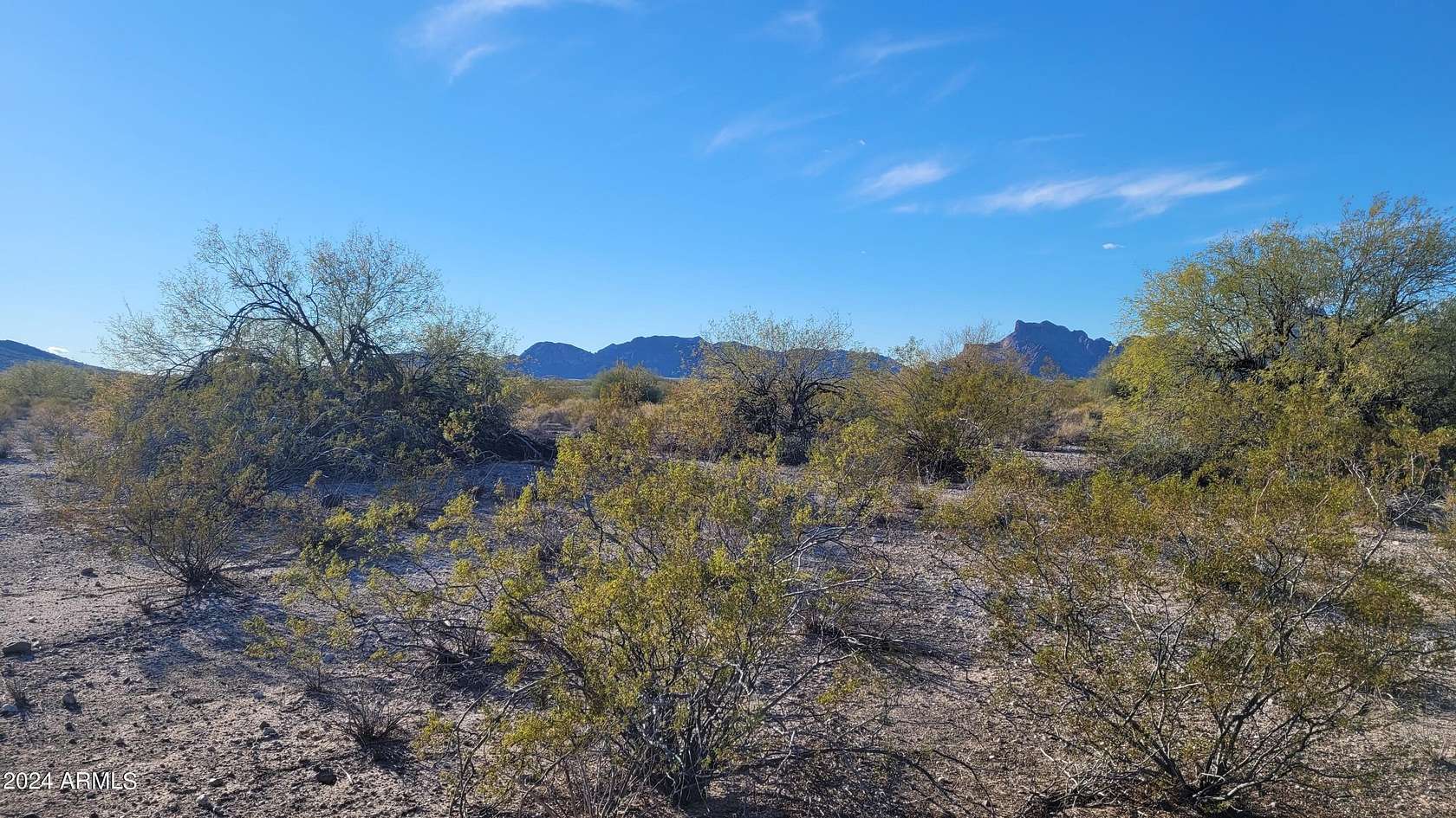 1.16 Acres of Residential Land for Sale in Tonopah, Arizona