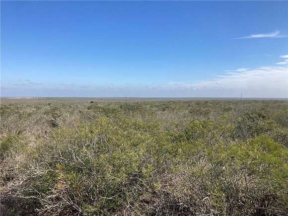 25 Acres of Recreational Land for Sale in Freer, Texas