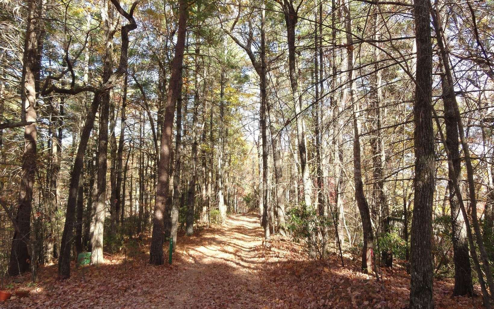 2.3 Acres of Residential Land for Sale in Blairsville, Georgia
