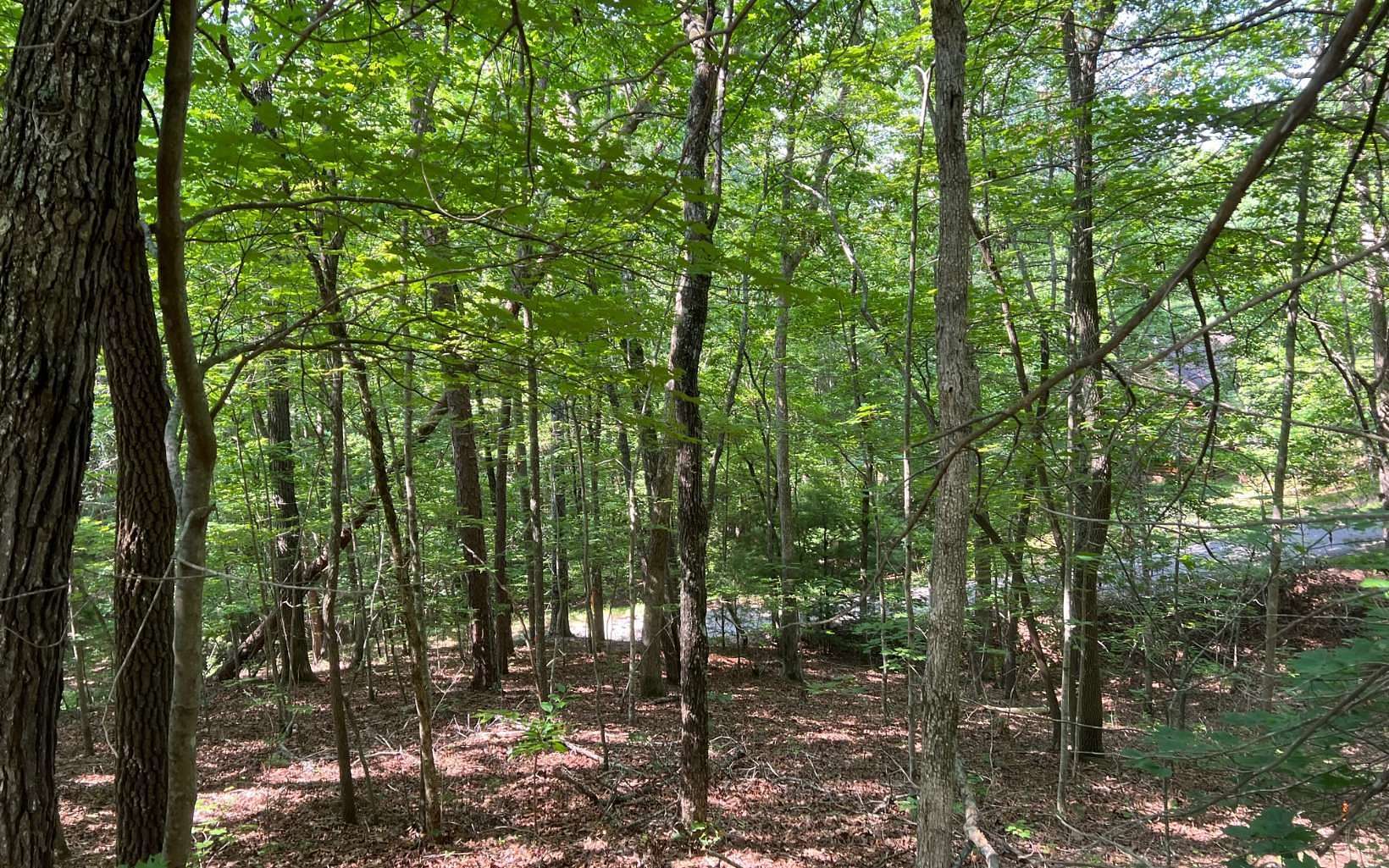 1.6 Acres of Land for Sale in Morganton, Georgia
