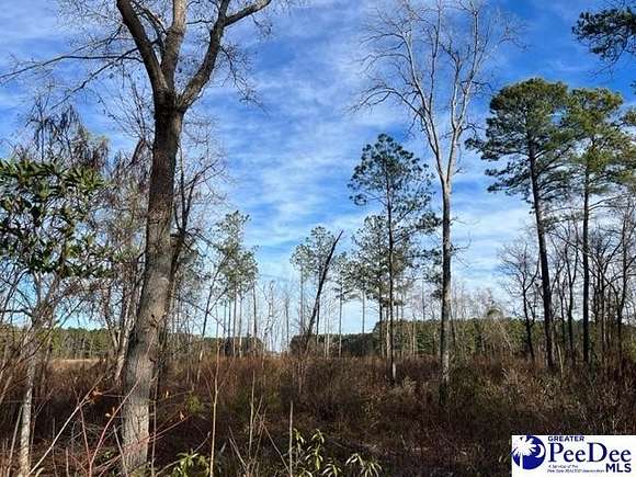 2 Acres of Land for Sale in Darlington, South Carolina