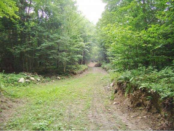 74.2 Acres of Recreational Land for Sale in Ludlow, Vermont