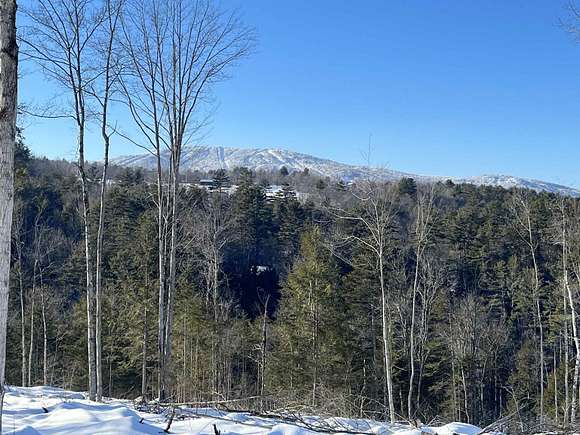 74.2 Acres of Recreational Land for Sale in Ludlow, Vermont