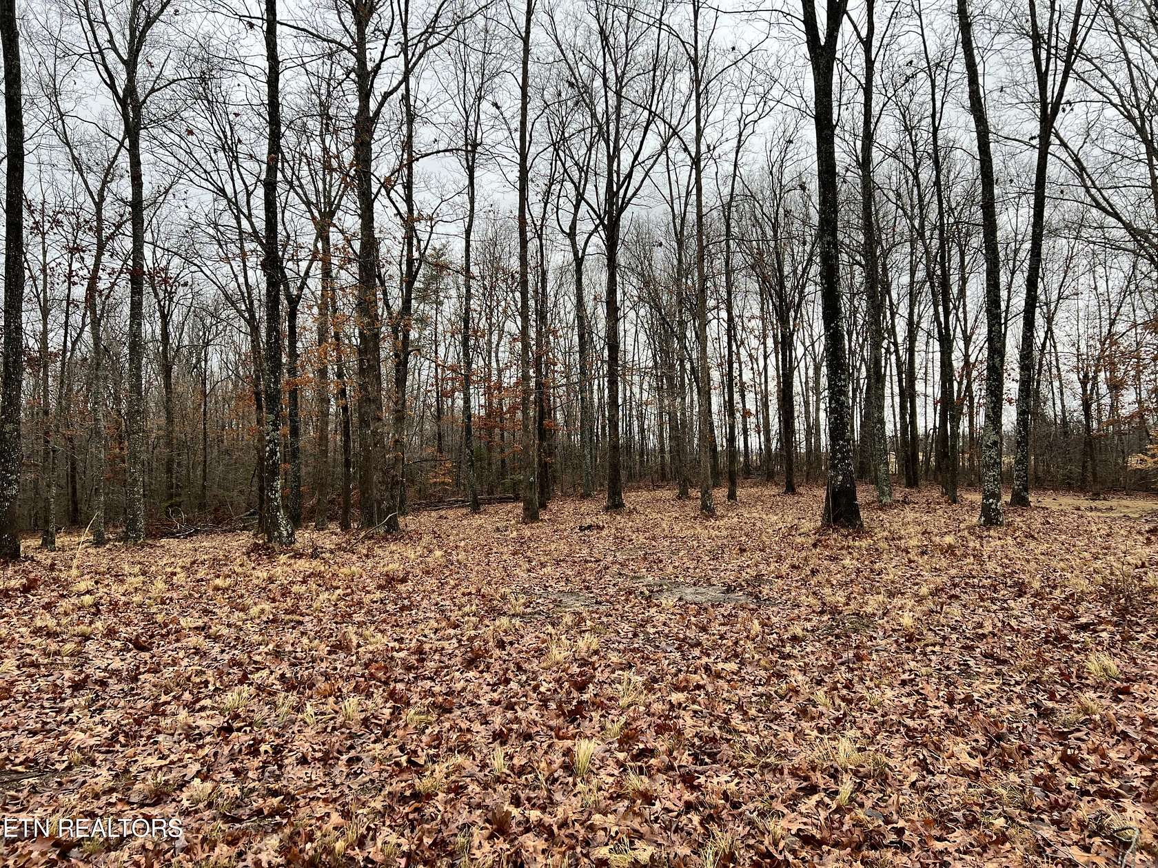 1.8 Acres of Residential Land for Sale in Crossville, Tennessee