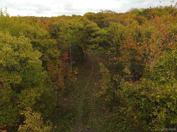 9.9 Acres of Residential Land for Sale in Calumet, Michigan