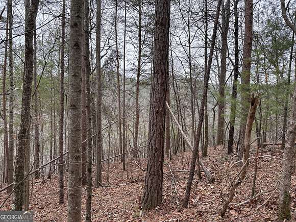 2.99 Acres of Land for Sale in Ranger, Georgia