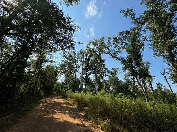 338 Acres of Recreational Land & Farm for Sale in Hughes Springs, Texas