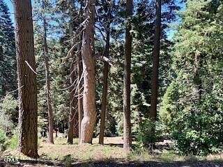 0.27 Acres of Land for Sale in Skyforest, California