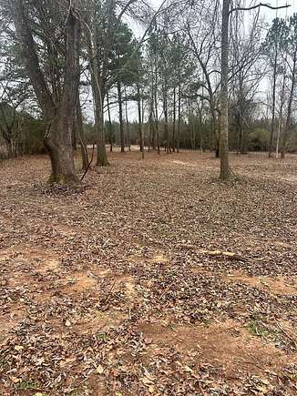 23.3 Acres of Mixed-Use Land for Sale in Banks, Alabama