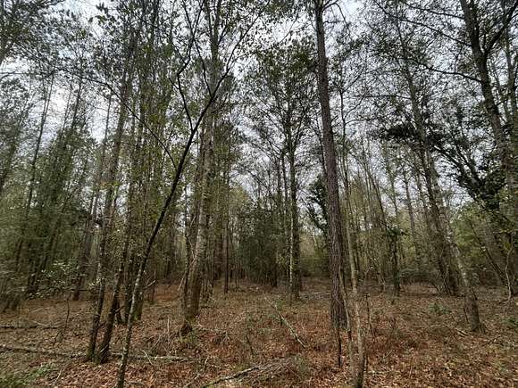 2.5 Acres of Residential Land for Sale in Ruffin, South Carolina