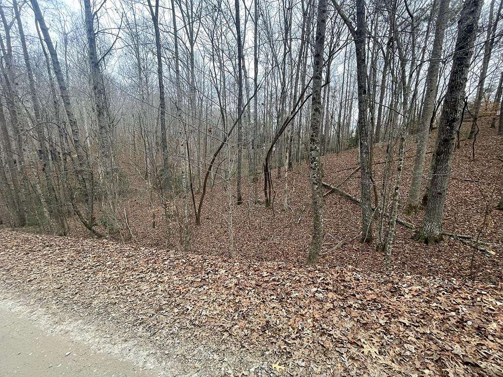 0.51 Acres of Land for Sale in Ellijay, Georgia
