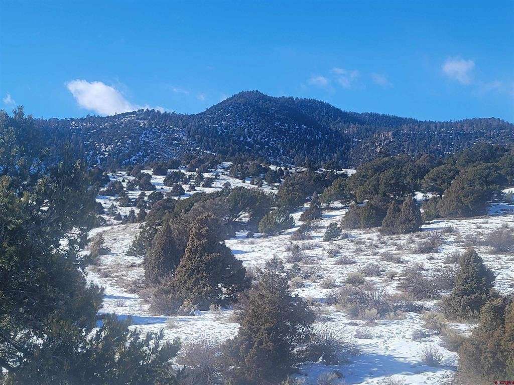 6.3 Acres of Residential Land for Sale in South Fork, Colorado