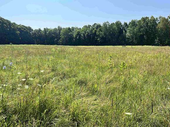 4.6 Acres of Residential Land for Sale in Goodells, Michigan