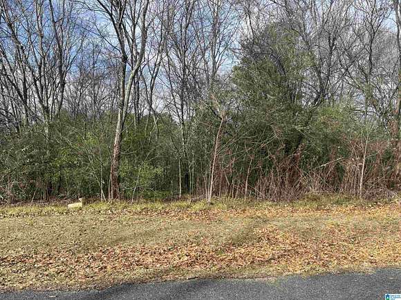 0.38 Acres of Land for Sale in Bessemer, Alabama