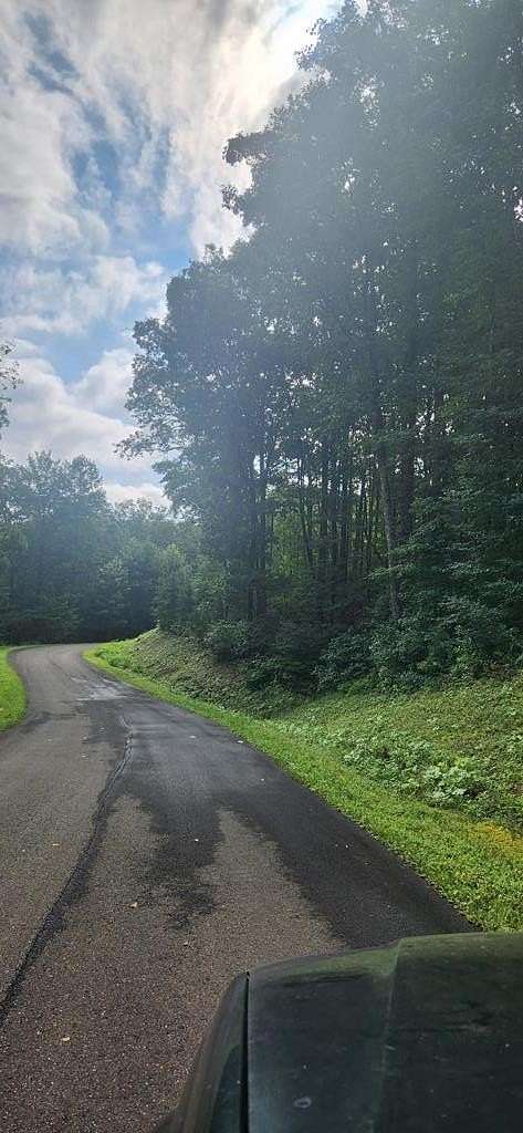 2 Acres of Residential Land for Sale in Ellijay, Georgia