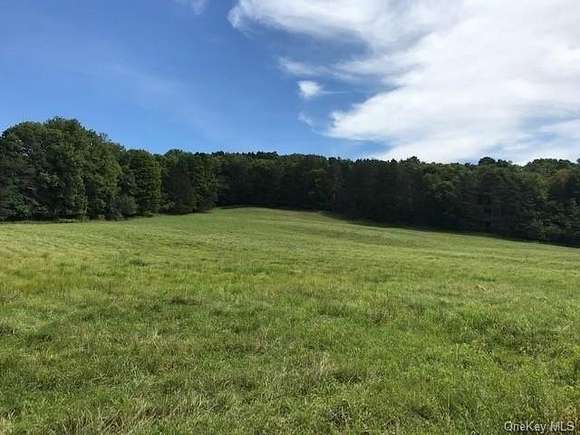 8 Acres of Residential Land for Sale in Fremont Town, New York