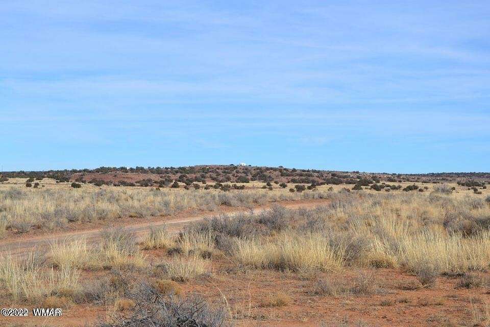 5 Acres of Land for Sale in Snowflake, Arizona