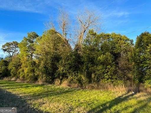 0.5 Acres of Residential Land for Sale in Oglethorpe, Georgia