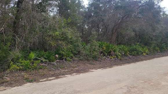 20 Acres of Land for Sale in Chiefland, Florida
