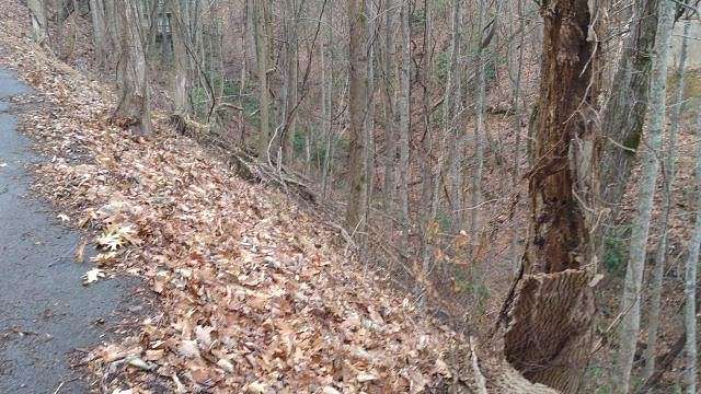 0.47 Acres of Residential Land for Sale in Gatlinburg, Tennessee