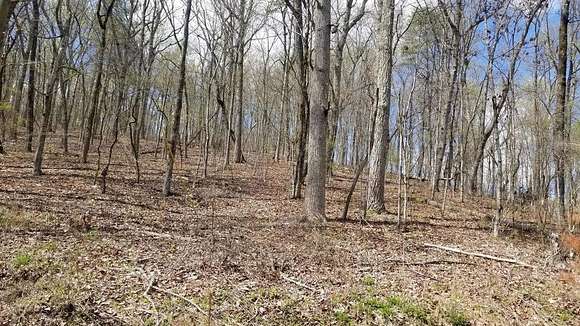 8.4 Acres of Residential Land for Sale in Spring City, Tennessee