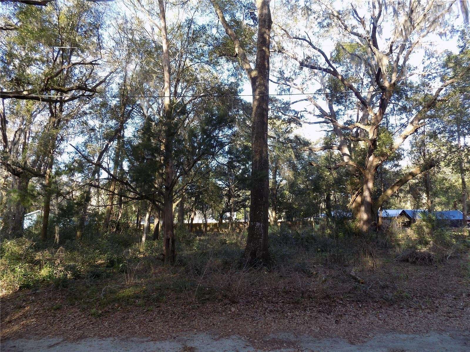 0.35 Acres of Residential Land for Sale in Belleview, Florida