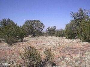 1.39 Acres of Land for Sale in Seligman, Arizona