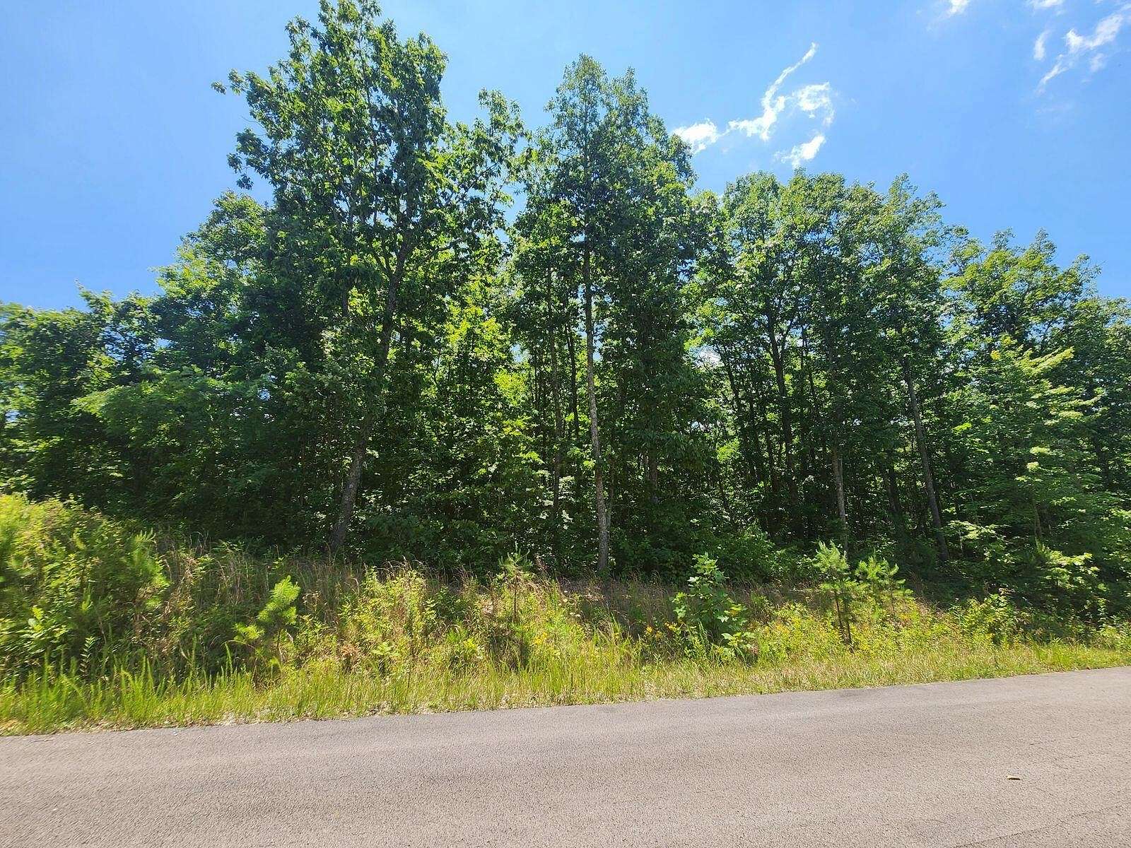 3.35 Acres of Residential Land for Sale in New Hope, Tennessee