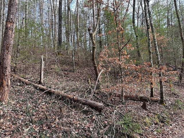 0.69 Acres of Land for Sale in Reliance, Tennessee