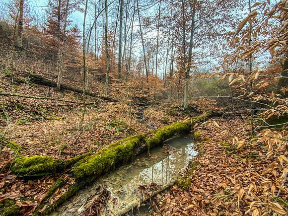15 Acres of Recreational Land for Sale in Gallipolis, Ohio
