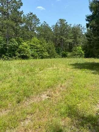 26.1 Acres of Land for Sale in San Augustine, Texas