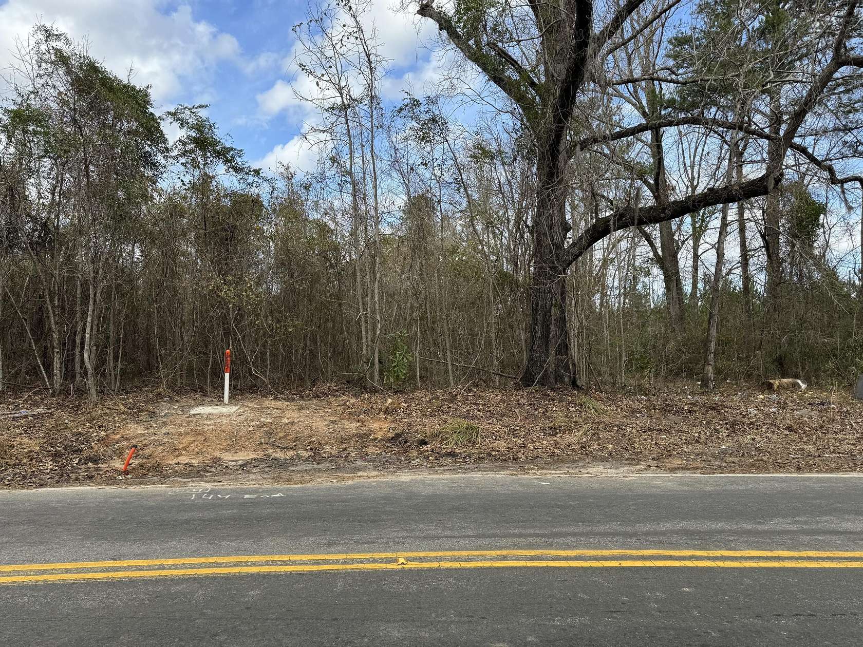 25 Acres of Land for Sale in Adams Run, South Carolina