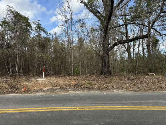 25 Acres of Agricultural Land for Sale in Adams Run, South Carolina
