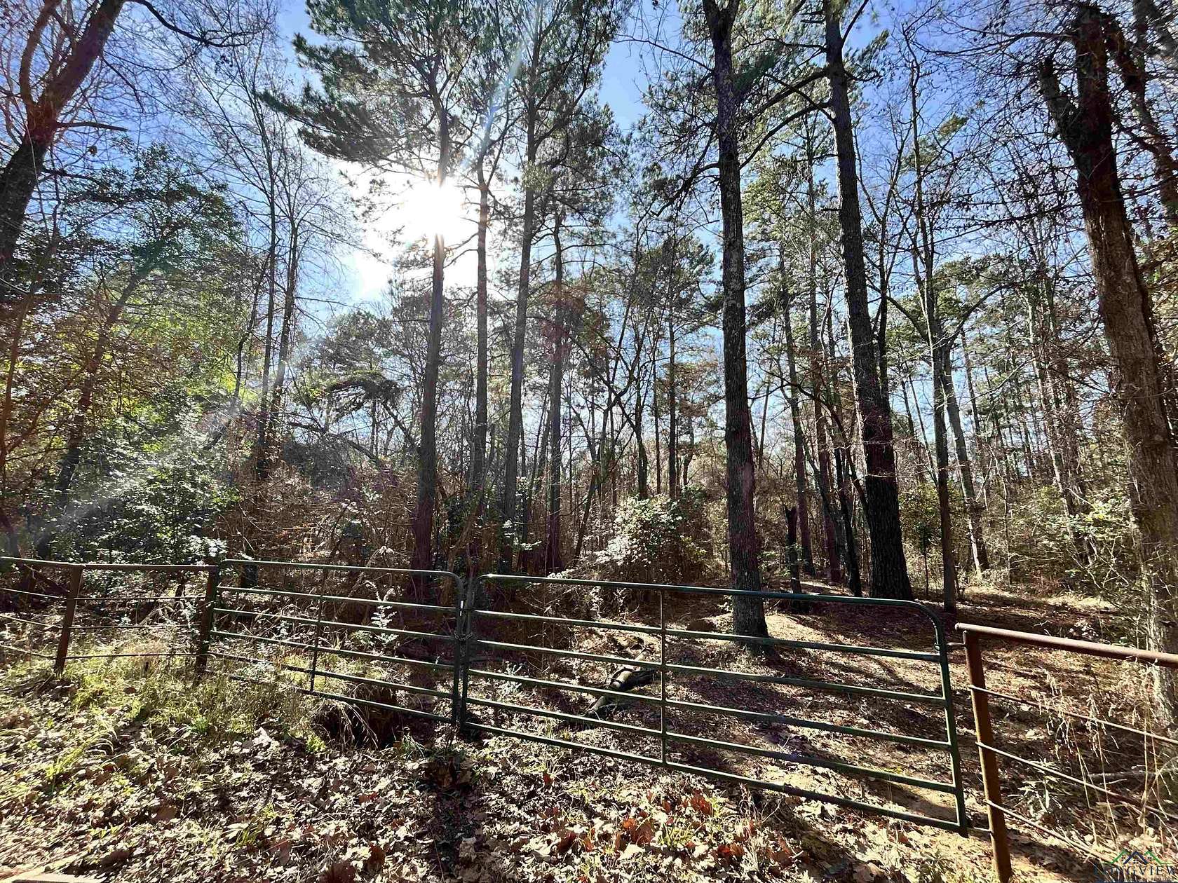 19.9 Acres of Land for Sale in Gladewater, Texas