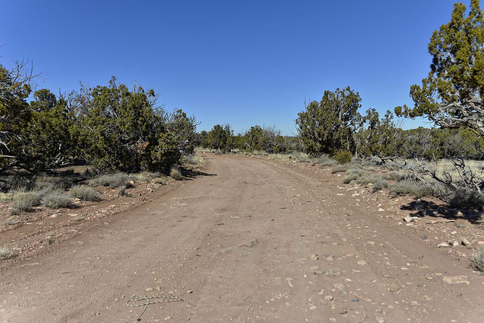 38.5 Acres of Recreational Land for Sale in Concho, Arizona