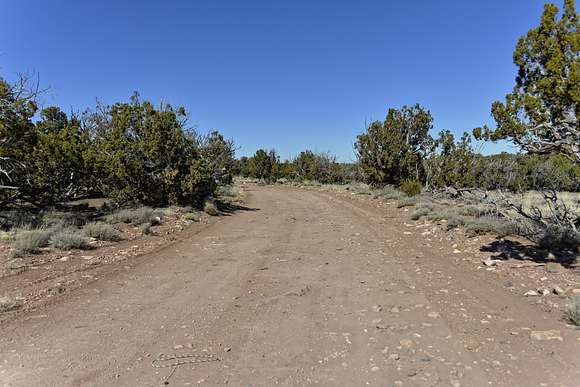 38.5 Acres of Recreational Land for Sale in Concho, Arizona